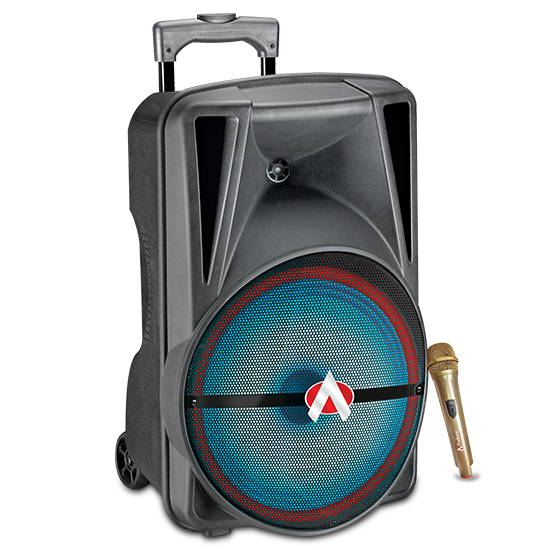 AUDIONIC MH 30